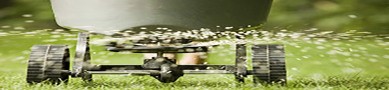 Fertilizer & Weed Control in South Florida by Broedell team
