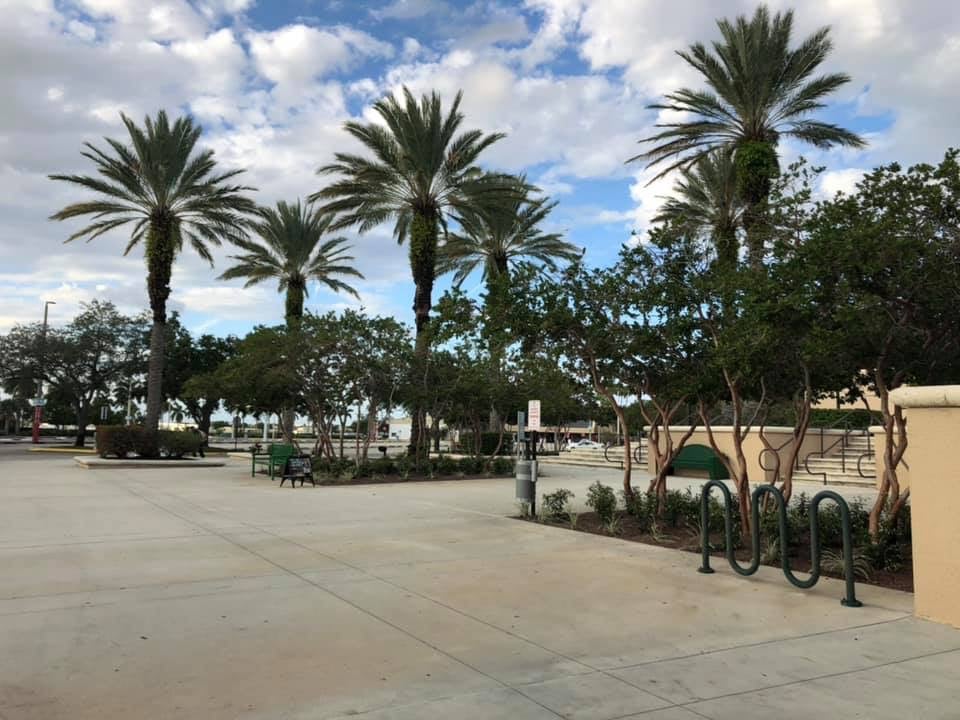 Commercial & HOA Landscaping Services
